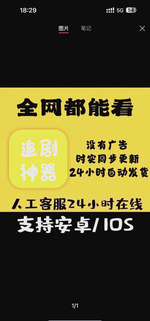 人妻中文啪啪啪的相关介绍