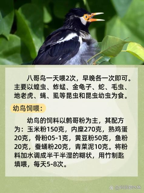 看看女人的逼免费国产的相关介绍