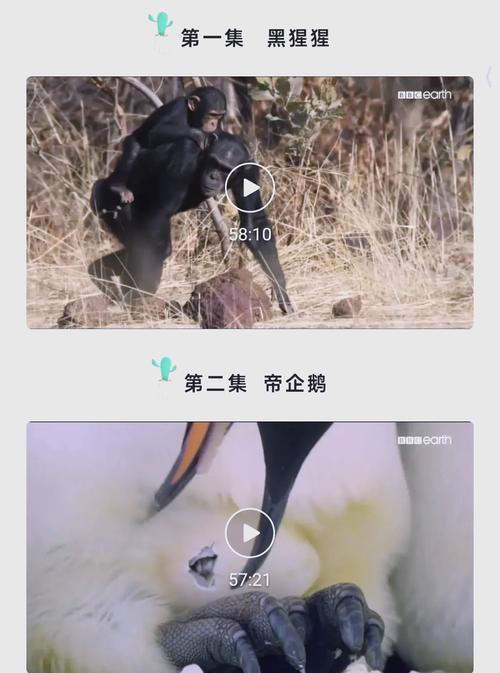 风骚的少妇2的相关介绍