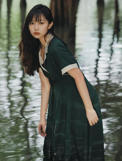 欧美在线h的相关介绍
