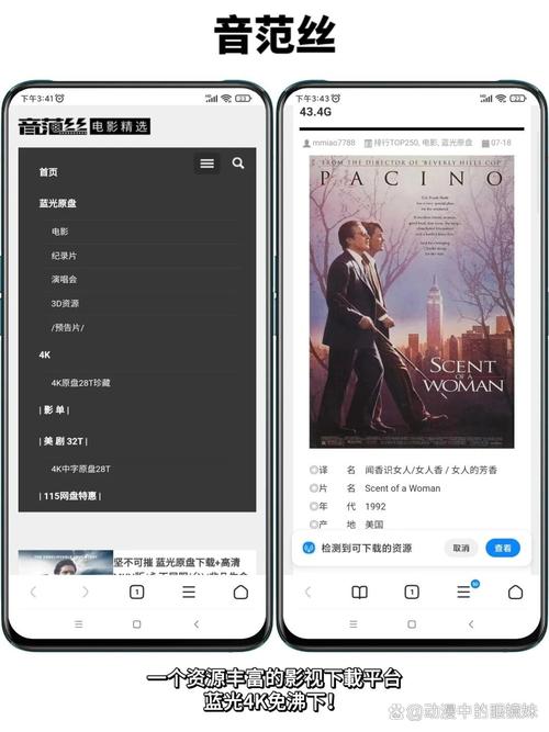 日韩欧美国产一区二区粉嫩的相关介绍