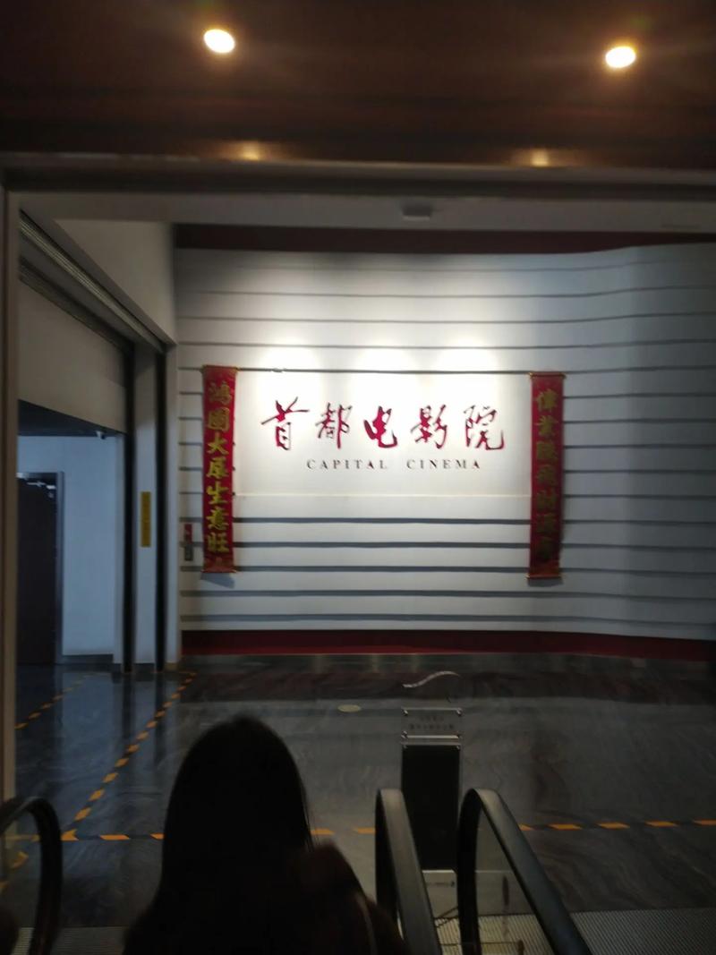 2021年电影院上映的全部电影的相关介绍