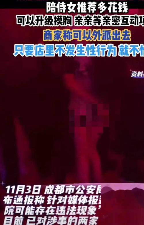 大陆最新毛片的相关介绍