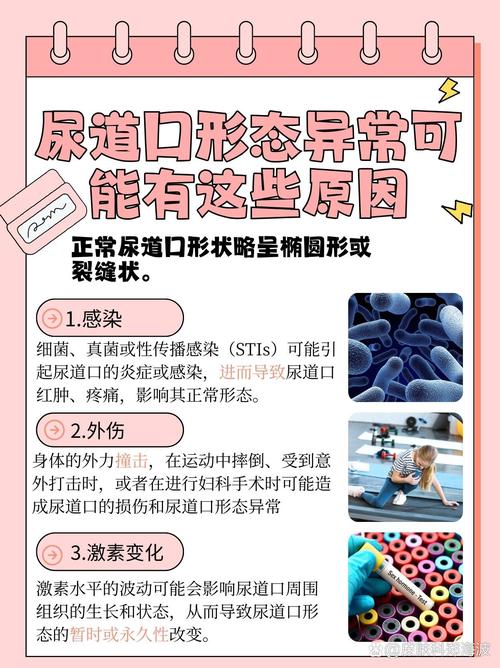 日韩性成人影院的相关介绍