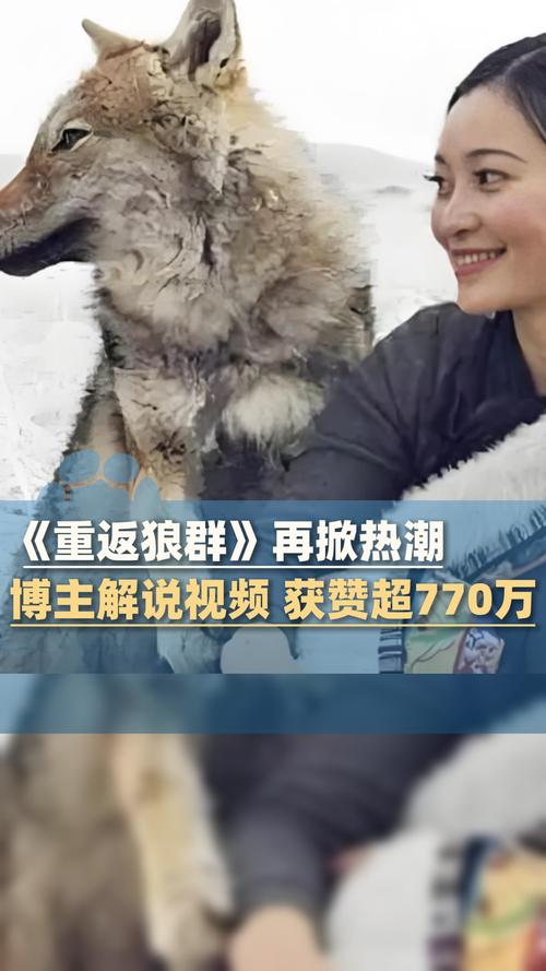 6080新视觉影院畅的相关介绍