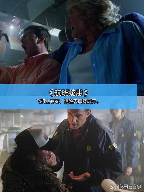 小新影院的相关介绍
