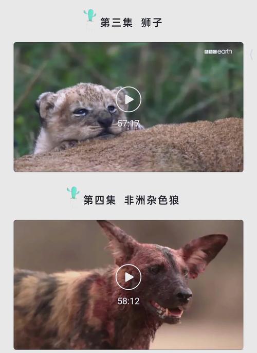 幻想影院最终幻想我的幻想女友的相关介绍