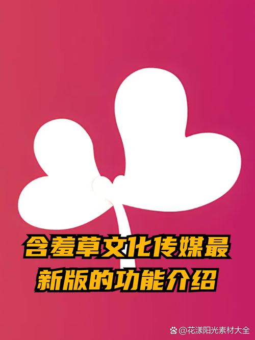 高潮毛片无遮挡高清在线的相关介绍