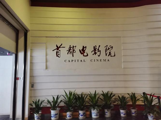 神马电影院第九v电影的相关介绍