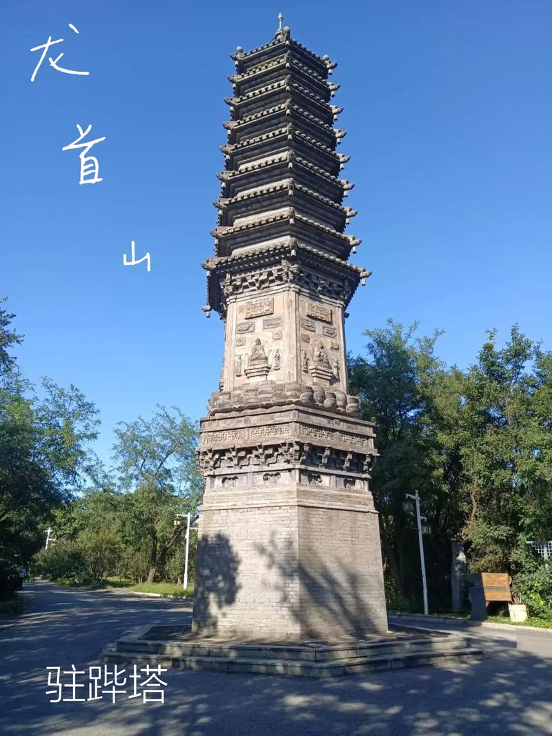 东京热毛片网的相关介绍