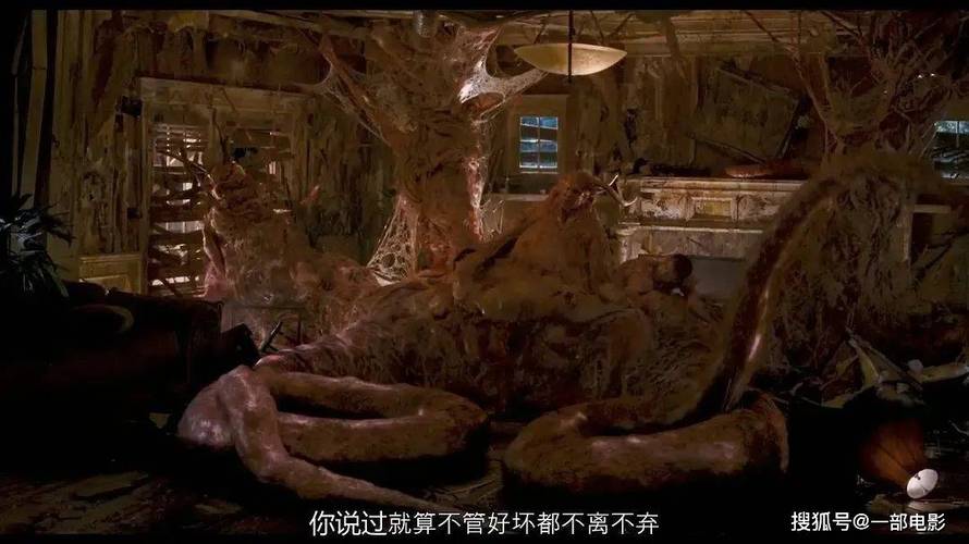 中国熟妇xxx18的相关介绍