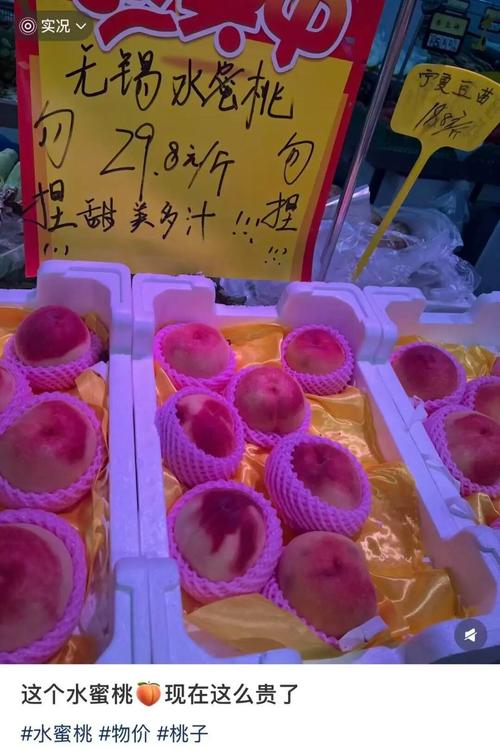 神马电影院午夜神的相关介绍