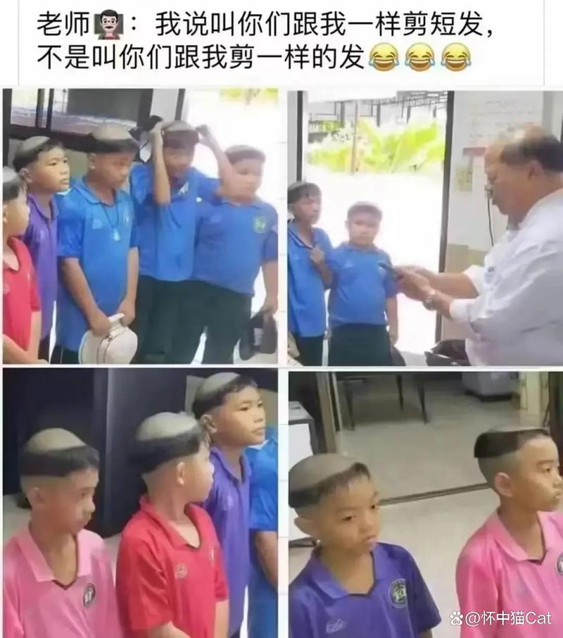 苍苍影院午夜怎么不能看了的相关介绍