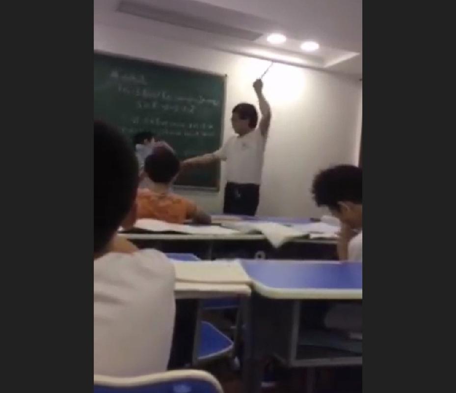 野猫影院的相关介绍