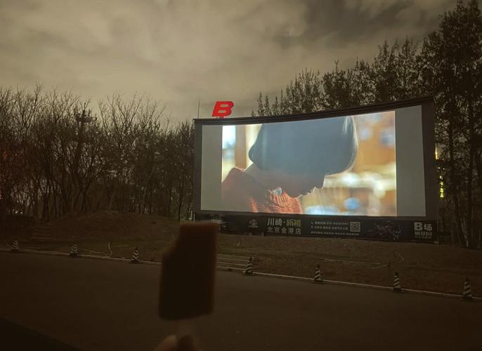 大地影院西瓜视频的相关介绍
