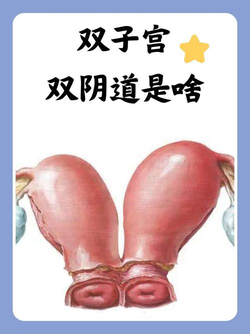 久久少妇亚洲的相关介绍