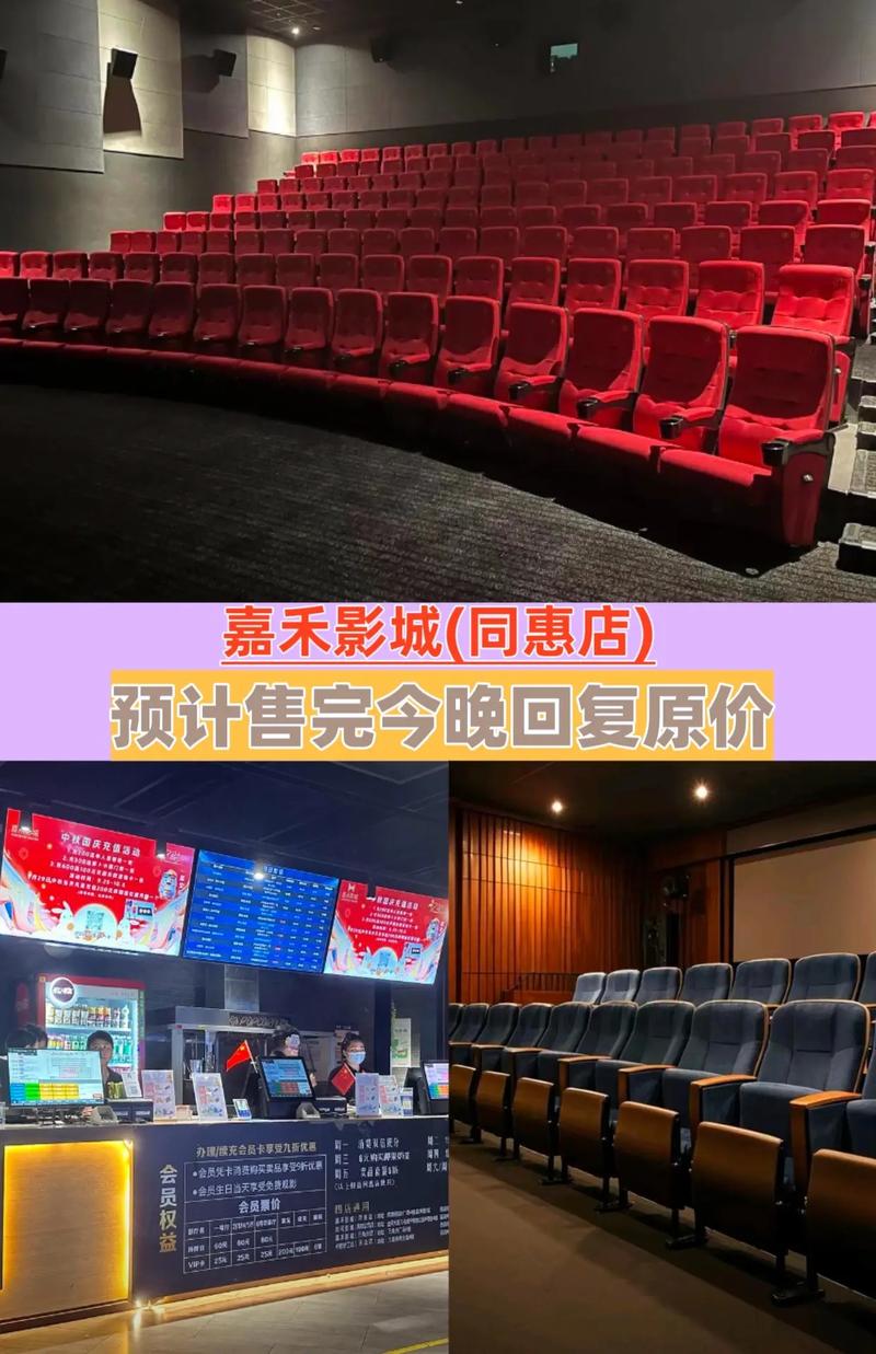 操中国美女老师的相关介绍