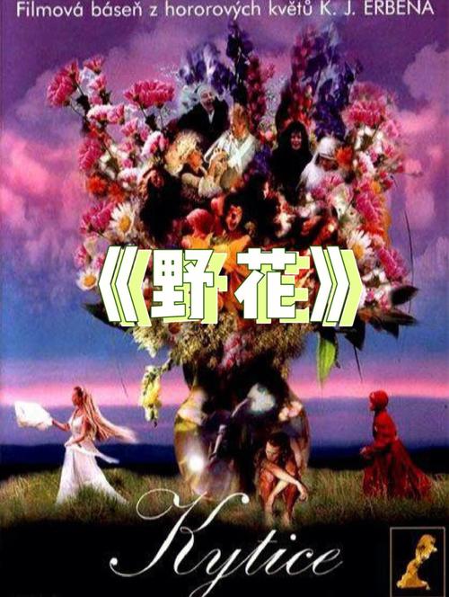 精品国产色的相关介绍