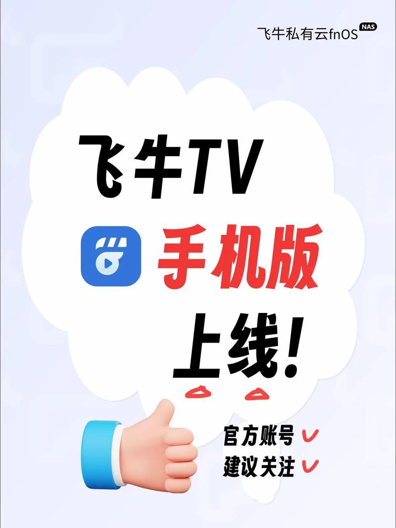齐齐影院的相关介绍