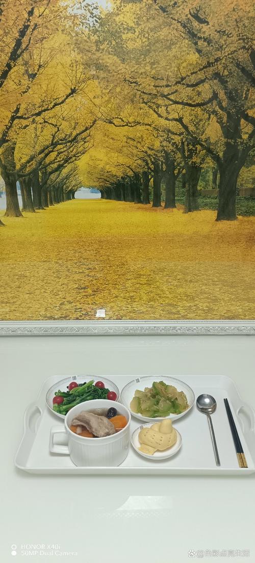 屈辱人妻h小说的相关介绍