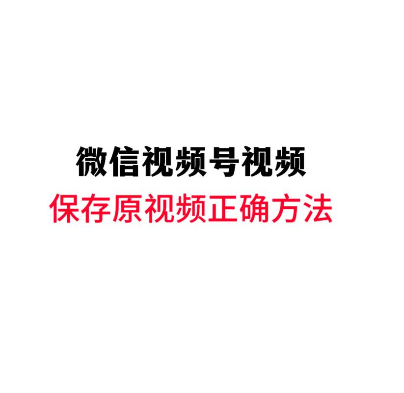 操老师逼的视频的相关介绍