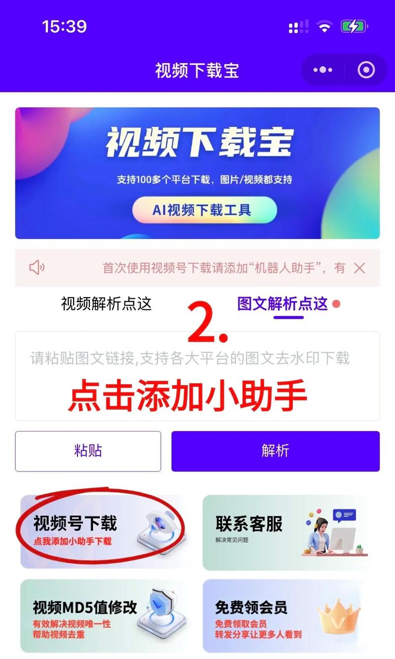 色琪琪在线影院的相关介绍