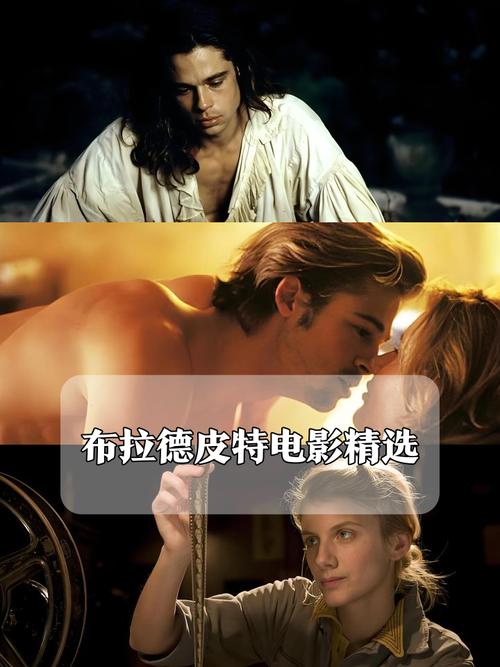 八妻子8影院秋霞网的相关介绍