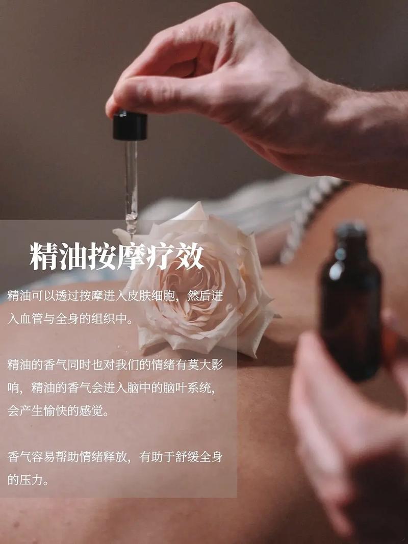 午夜爽片av的相关介绍