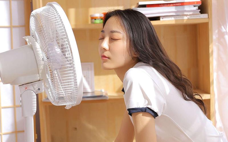 成年人看毛片网站的相关介绍