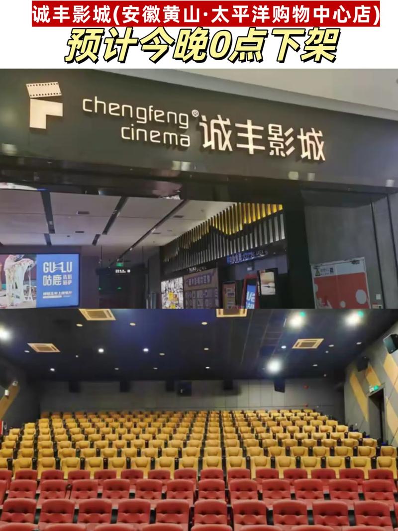风迷影院的相关介绍