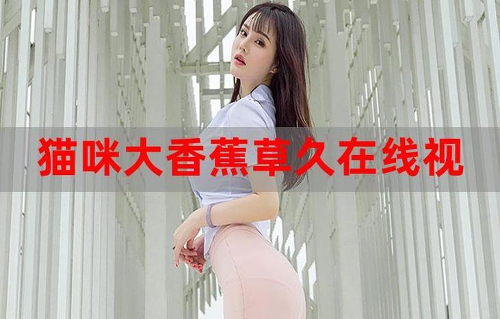 av老熟妇的相关介绍