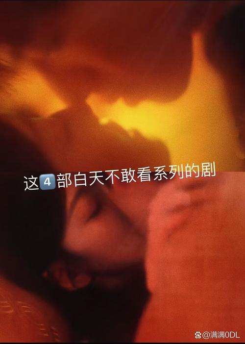 aavv国产精品的相关介绍