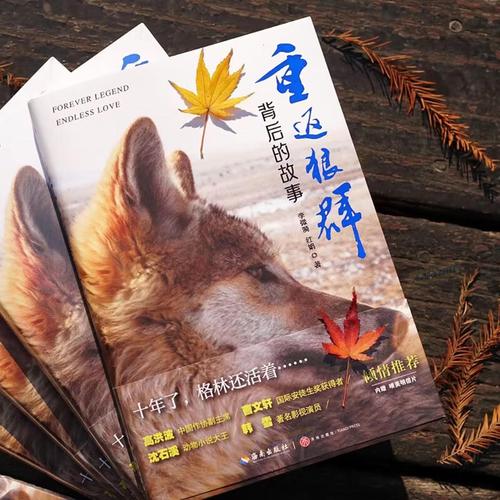 合肥电影院的相关介绍