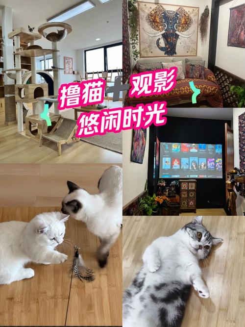 电影院加盟大概多少钱的相关介绍