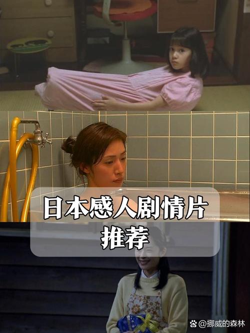 捷克美女av三个黑人的相关介绍
