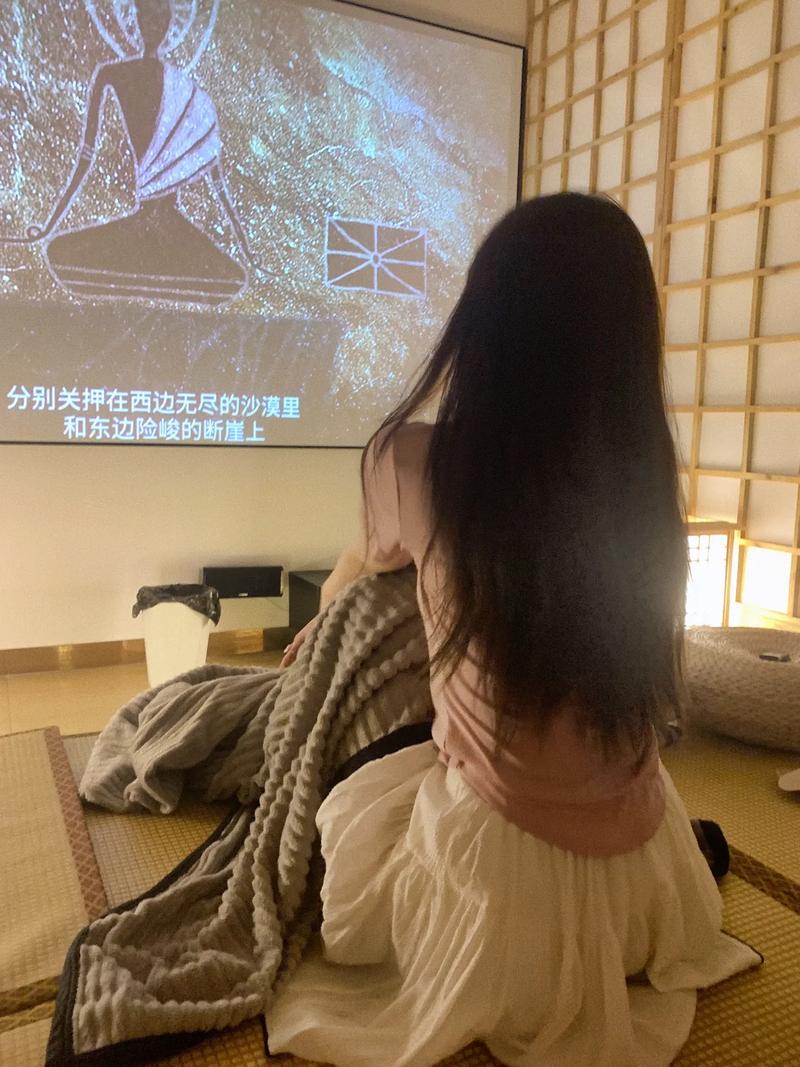 312影院的相关介绍