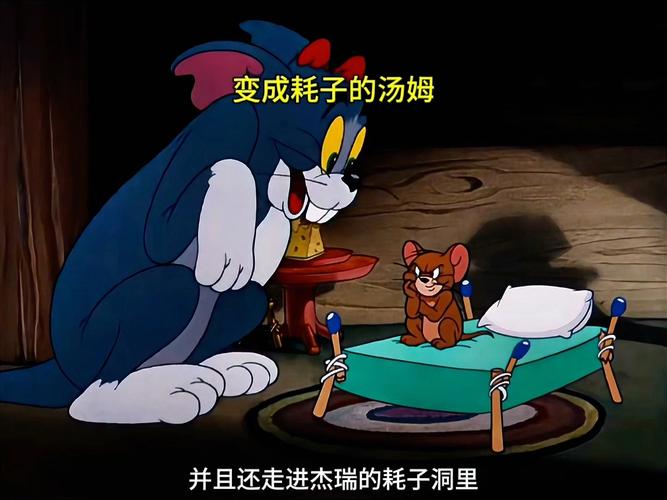 妇科检查毛片的相关介绍