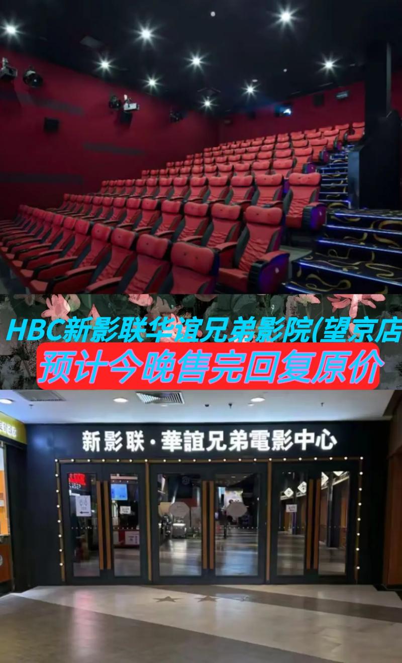 上海影院的相关介绍