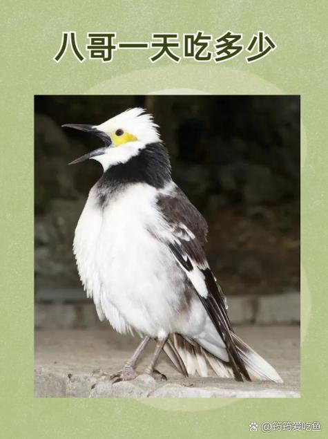 驰策影院的相关介绍