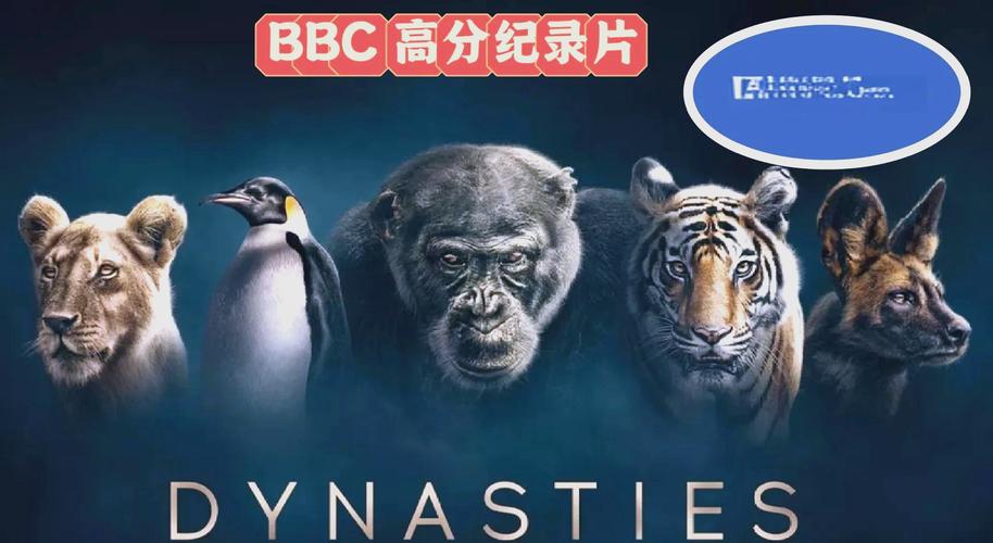 亚洲熟女少妇一区二区三区在线观看的相关介绍