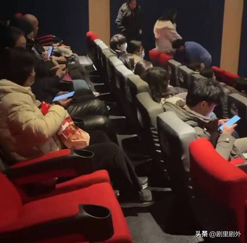 私人 影院的相关介绍
