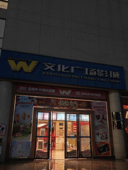 阳光宅男在线影院观看的相关介绍