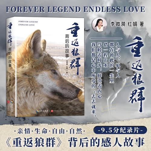 罗马影院神马影院的相关介绍