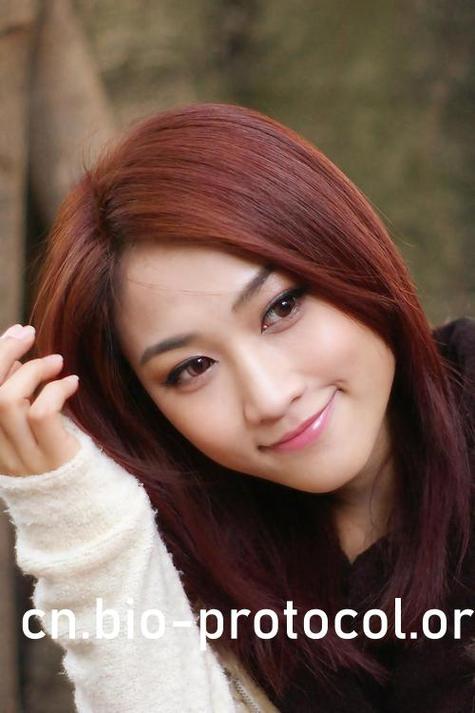 欧美美女第一页精品的相关介绍