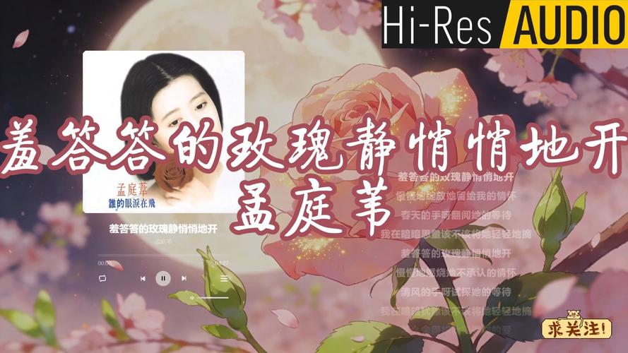 伦理片小妹的相关介绍