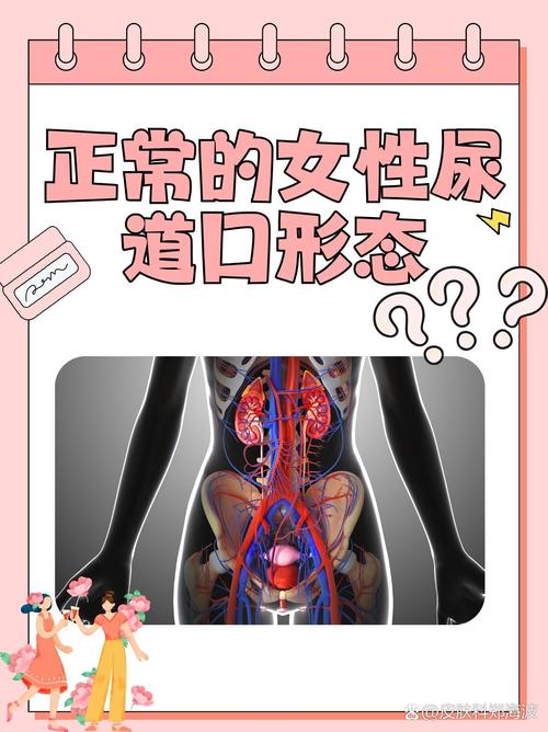 色悠悠宅男网的相关介绍