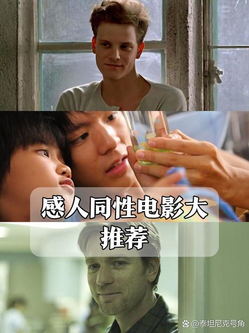 欧美日韩亚洲一区二区内射的相关介绍