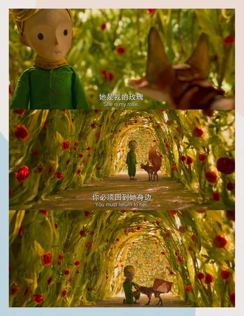 操老师的逼逼的相关介绍